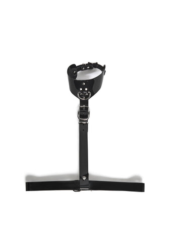 Vinyl Buckle Collar Harness