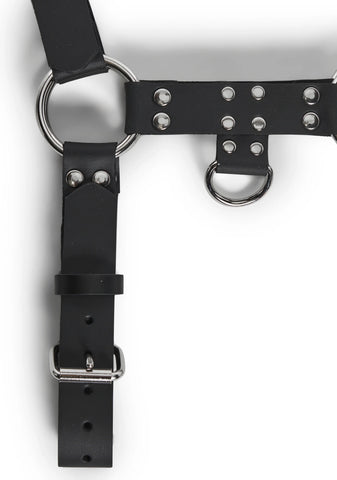Buckle Bulldog Body Harness