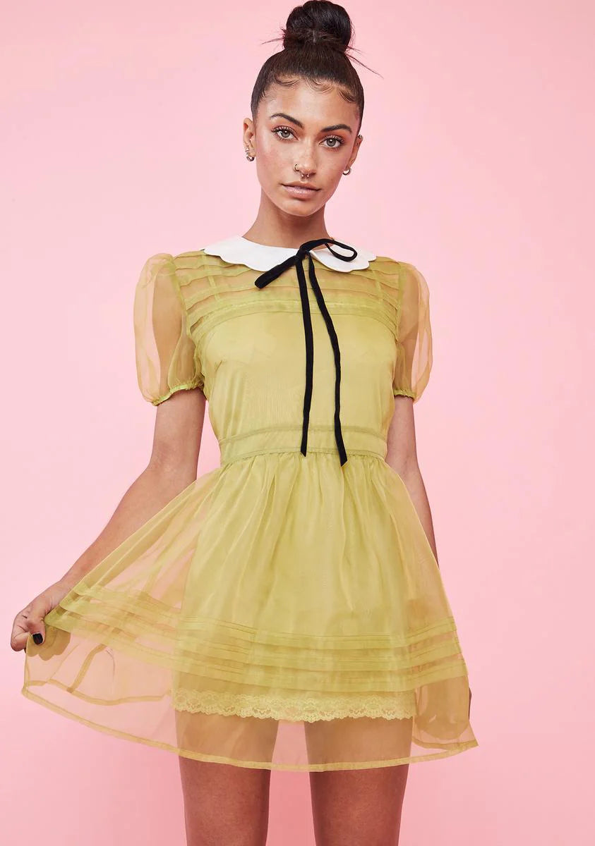 Wild Wanderlust Organza Babydoll Dress