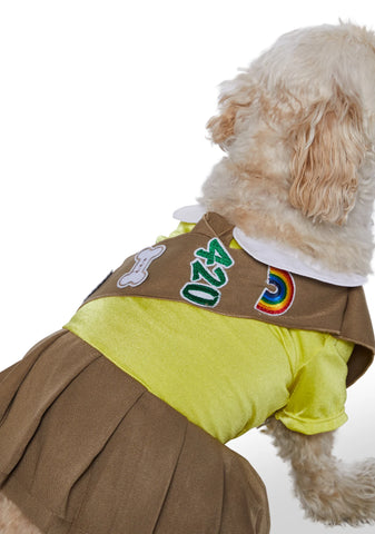 Let's Get Barked Dog Scout Costume