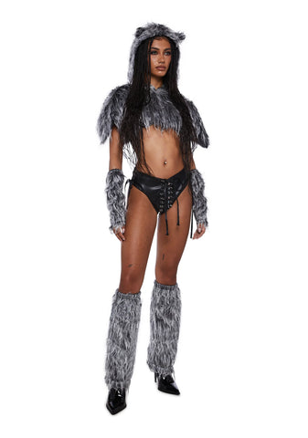 Canine Behavior Wolf Costume