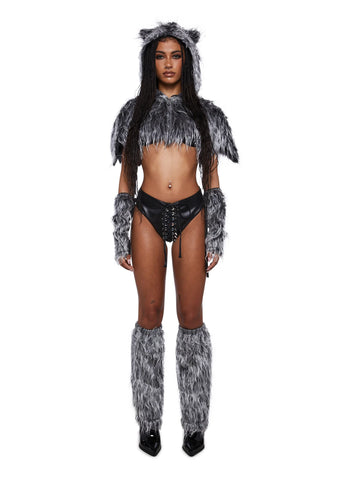 Canine Behavior Wolf Costume