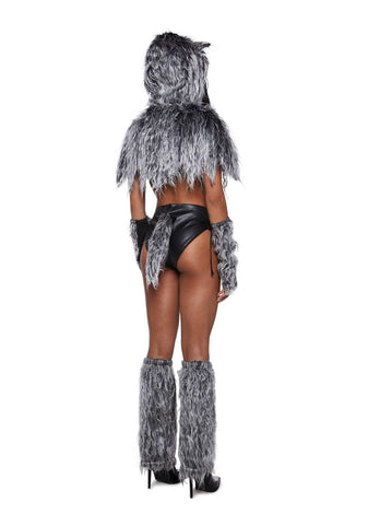 Canine Behavior Wolf Costume