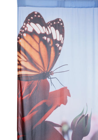 Day After Day Curtains