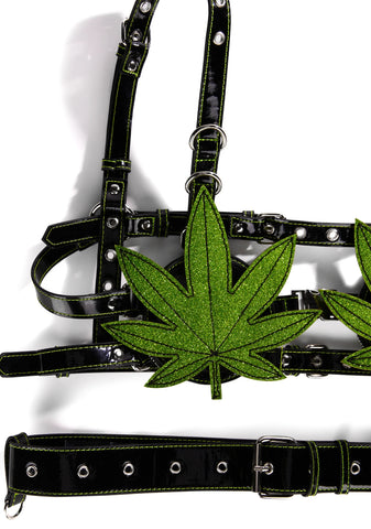 Chronically Faded Storage Harness Set