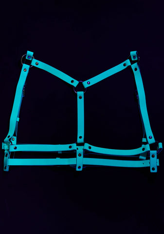 Night Crawl Glow In The Dark Harness
