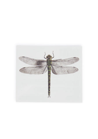 Winged Wonders Tattoo Set