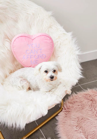 Sweet Nothings Plush Heart Pillow