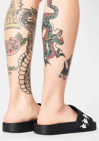 222 Banda Adam 4 Slides