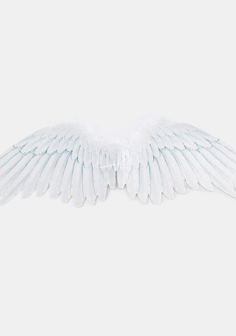 Holy Fallen One Angel Wings