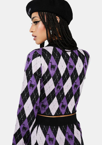 Chasin' Salem Crop Sweater