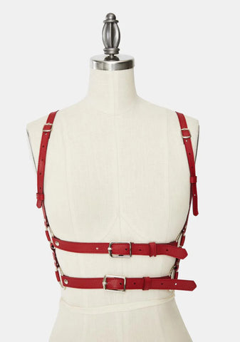 Red Tight Hold Buckle Harness