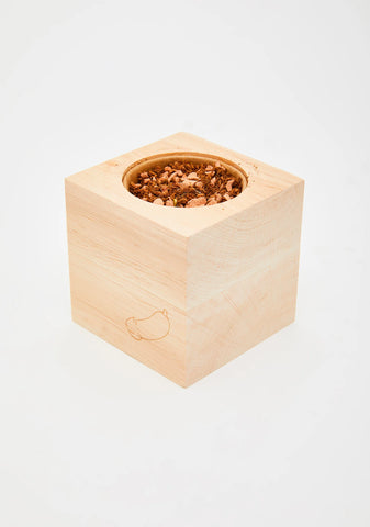 Grow A Pair Chili Plant