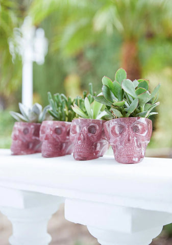 Death Defying Skull Planter Set