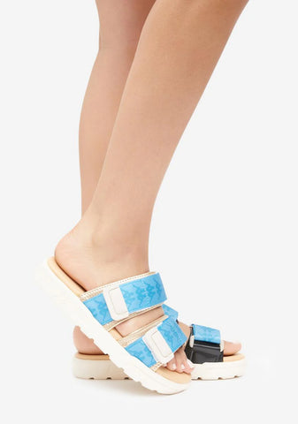 222 Banda Aster 5 Slides