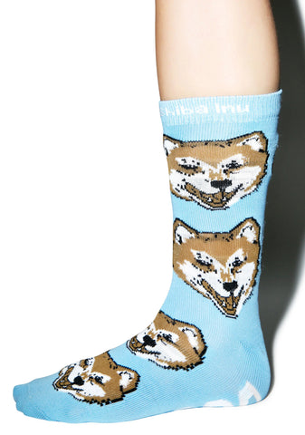 Shiba Inu Socks