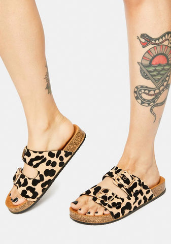 Fierce Finding Adventure Buckle Slides