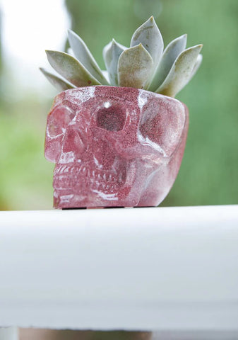 Death Defying Skull Planter Set
