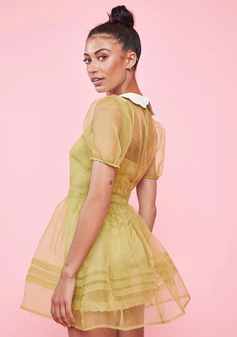 Wild Wanderlust Organza Babydoll Dress