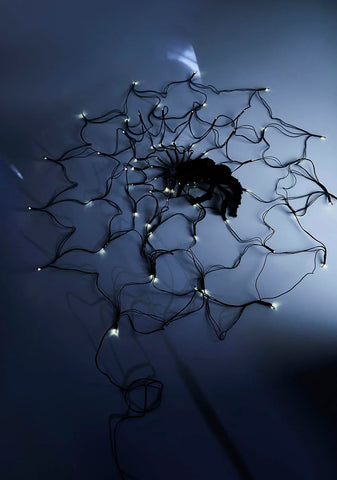 Up The Wall Light Up Spider Web