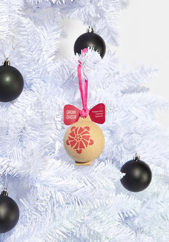 Peppermint Cosmos Ornament Seed Kit