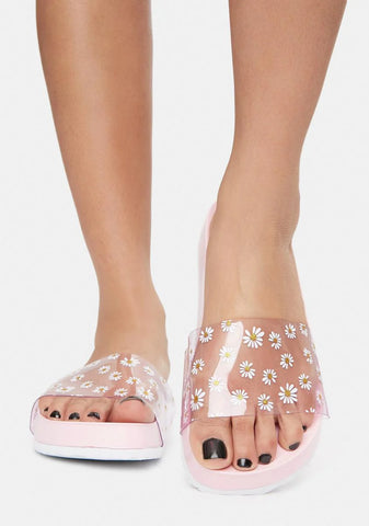 Bubblegum Off The Daisy Chain Slides